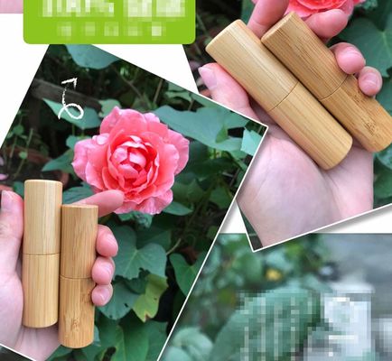 tubos amigáveis de Eco Chapstick do recipiente do tubo do batom de 5g 5ml 21mm